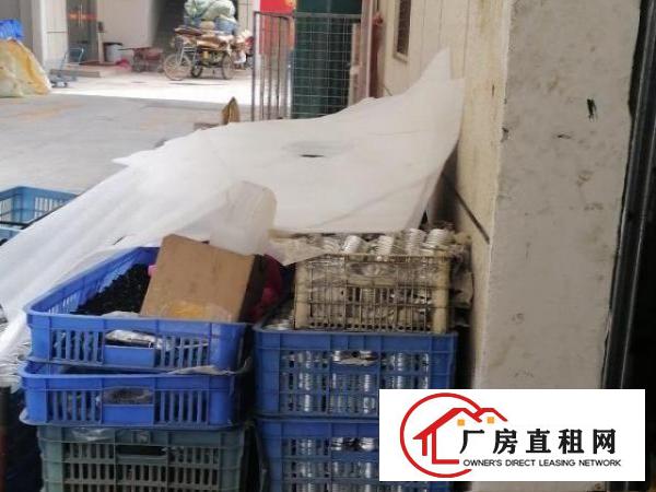  面积290平，适合小加工企业，水电齐全