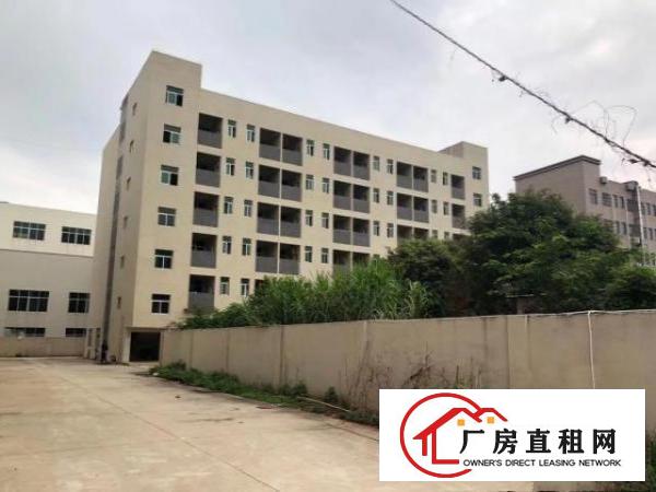  清溪全新花园式厂房大小分租