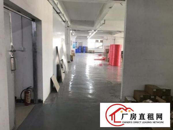  清溪土桥豪华装修厂房出租可分租