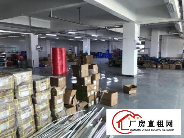  清溪土桥豪华装修厂房出租可分租