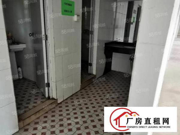  清溪三中村厂房出租一楼面积300平方米