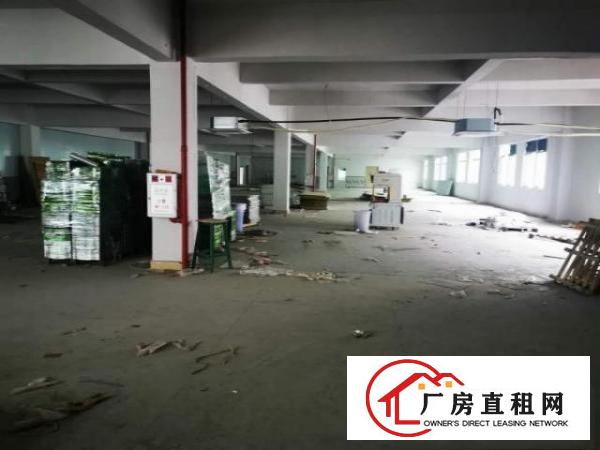  清溪镇高新科技园9500平米独栋标准厂房，报19可谈