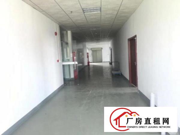  清溪镇高新科技园9500平米独栋标准厂房，报19可谈