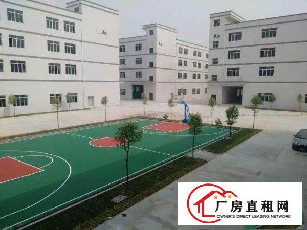  清溪镇高新科技园9500平米独栋标准厂房，报19可谈