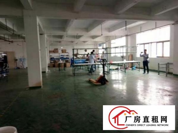  清溪九乡村一楼320平厂房出租，水电齐全