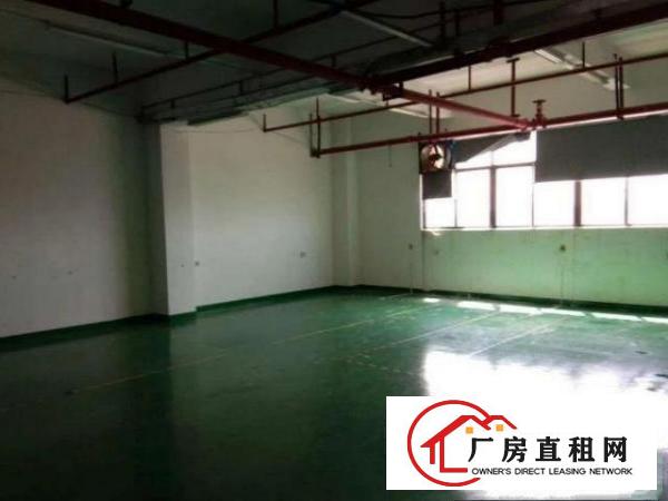  清溪铁场村急租一楼550平厂房，证件齐全