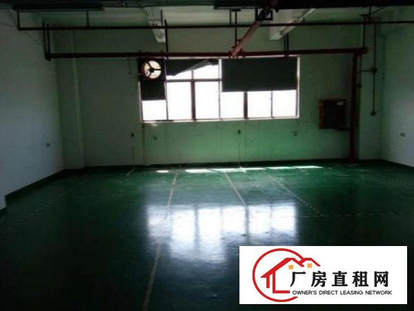  清溪铁场村急租一楼550平厂房，证件齐全