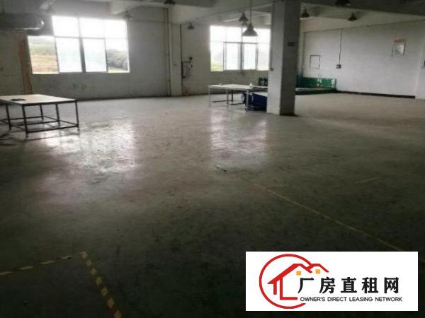  清溪重河村分租一楼厂房500平，采光好