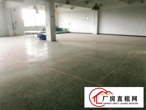  清溪重河村分租一楼厂房500平，采光好