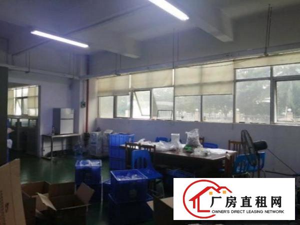  清溪靠近塘厦高速路口附近新出一楼2180平出租带办公室