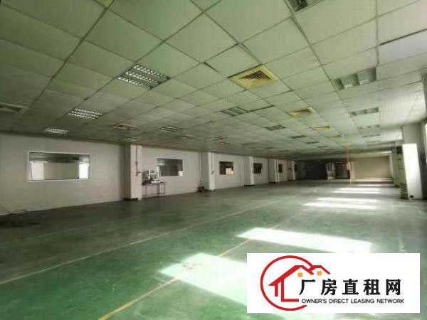  （装修形象美丽）清溪青皇村800平方米工业园楼上厂房招租