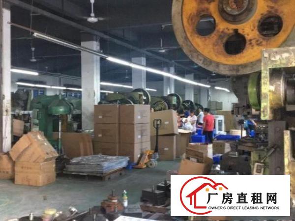  清溪科技路边上新出标准两层3600平独院