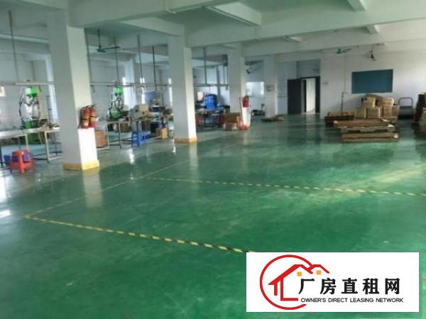  清溪新空出厂房3楼500平方，现成精装修办公室可做电池