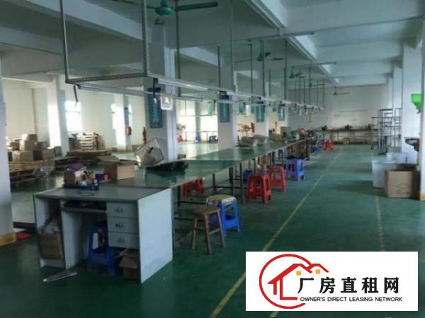  清溪新空出厂房3楼500平方，现成精装修办公室可做电池