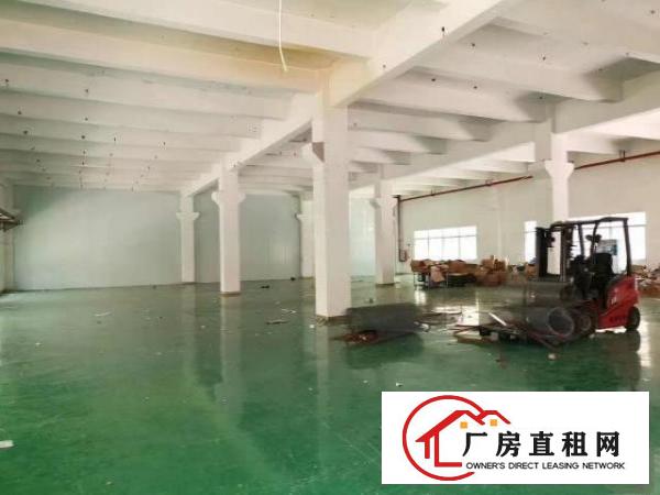  清溪新出原房东现成装修厂房