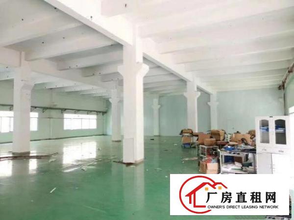  清溪新出原房东现成装修厂房
