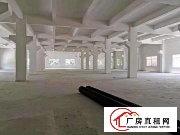  清溪青皇新出经典小独院2200平方，单一层带牛角，高度6米