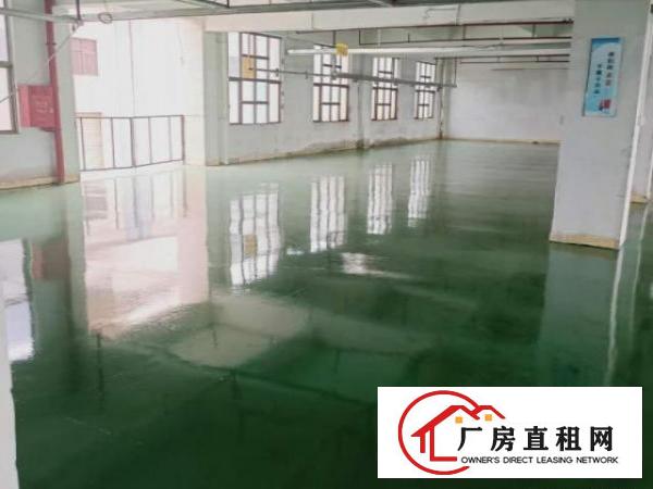  原房东楼上电子手袋纸箱仓库厂房出租2400平拎包入驻