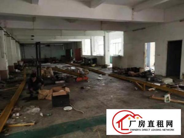  清溪大利村一楼1250平招租可精装修办公室