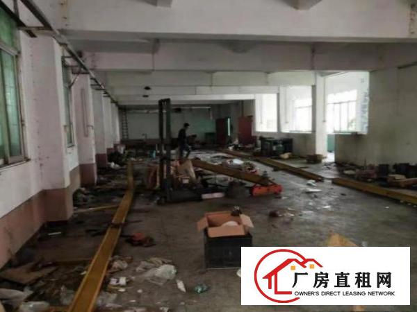  清溪大利村一楼1250平招租可精装修办公室