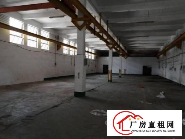  清溪浮岗村500平方一楼厂房出租现成行车空地大可噪音加工