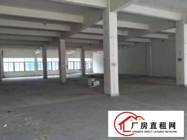  清溪荔横村一楼800平方厂房出租空地大无居民可可噪音