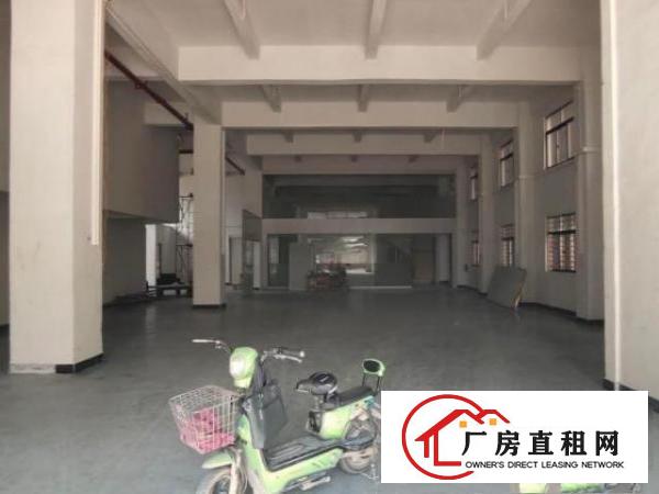  清溪罗马村标准厂房出租一楼750平5米高装修阁楼可