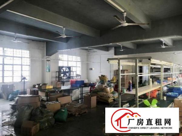  出租厂房楼上300平方带豪华办公室