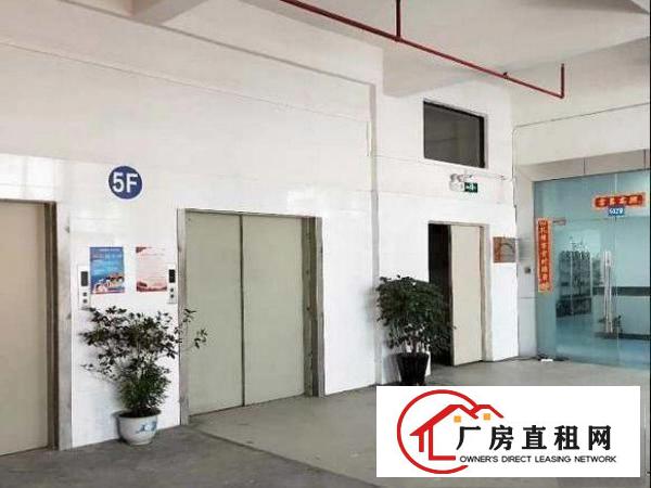  青皇业主直租带装修厂房三楼500平拎包入住