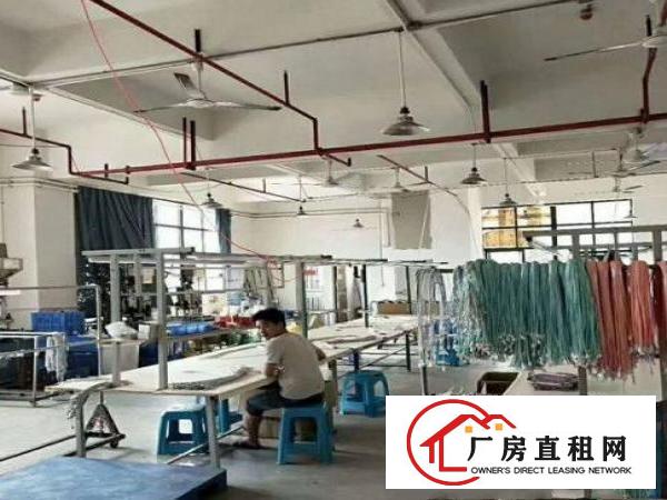  青皇业主直租带装修厂房三楼500平拎包入住