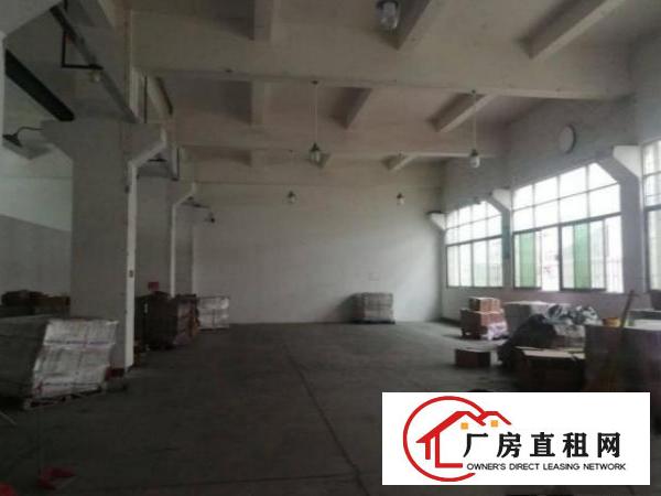  清溪渔樑围村标准1楼1000平方！带牛角！可装行车
