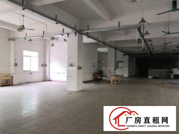  清溪罗马村新出1楼500平方，办公室装修可出租