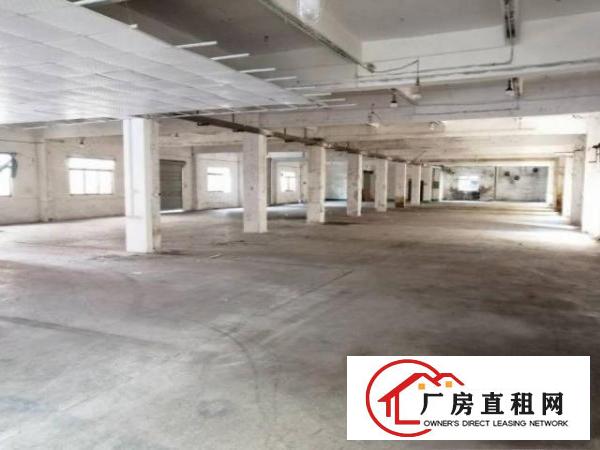  清溪九乡村1200平方厂房仓库出租工业用地可噪音