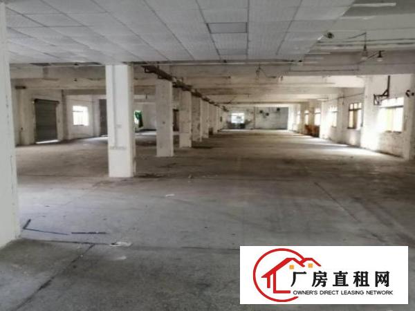  清溪九乡村1200平方厂房仓库出租工业用地可噪音