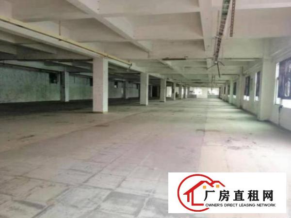  清溪铁场村一楼1000平方厂房仓库出租空地大招工方便