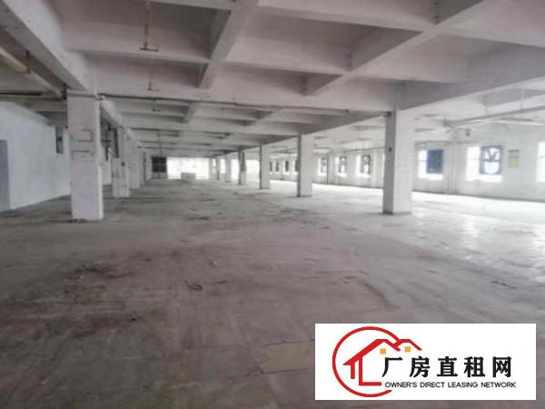  清溪铁场村一楼1000平方厂房仓库出租空地大招工方便