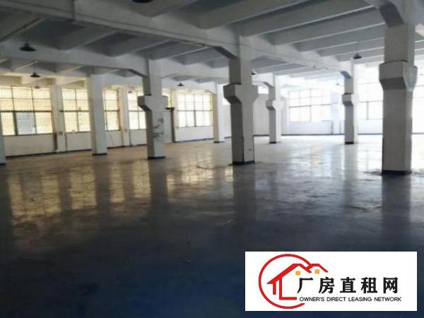  清溪清厦村一楼1300平方厂房仓库出租空地大好招工