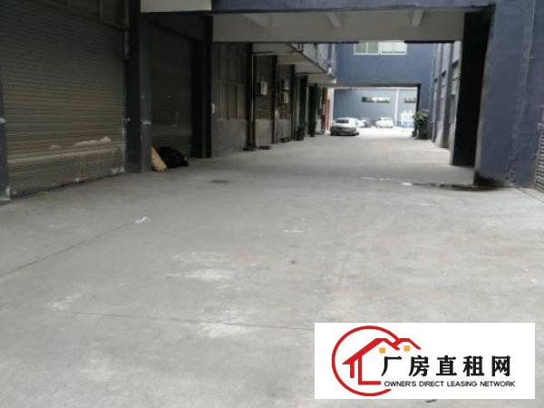  清溪清厦村一楼1300平方厂房仓库出租空地大好招工