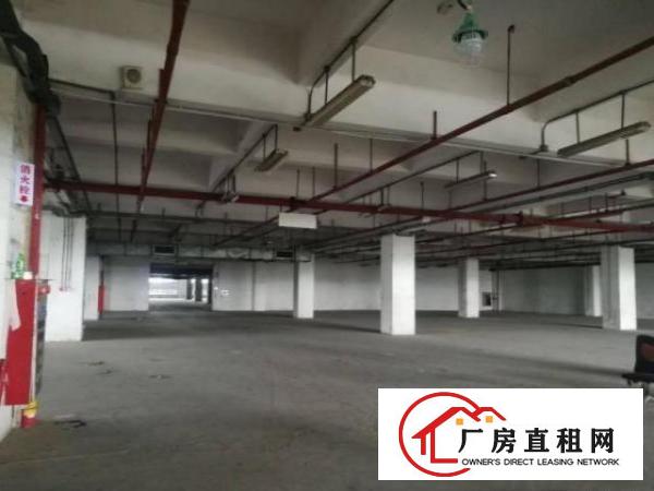  清溪浮岗村一楼标准厂房1500平米出租,可