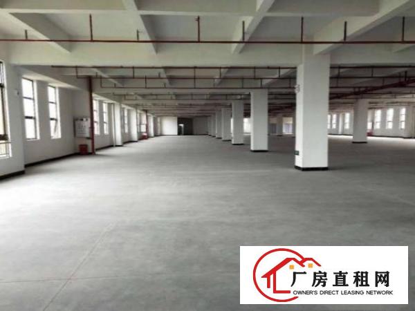  清溪三星村新出1000平独门独院厂房大小可分