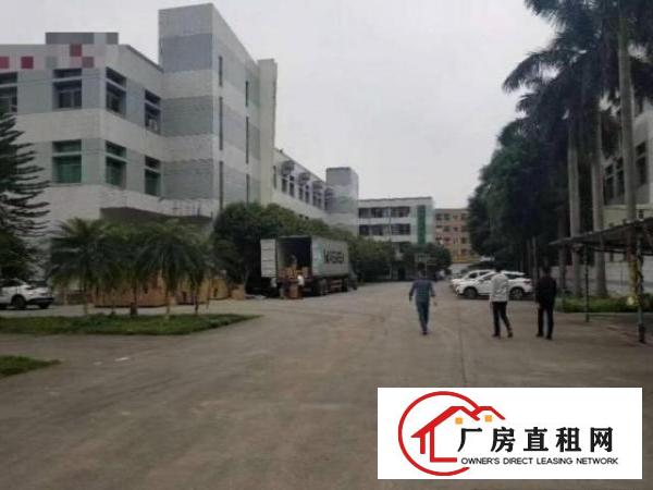  青皇新出3楼实际面积800平原房东厂房出租，带装修