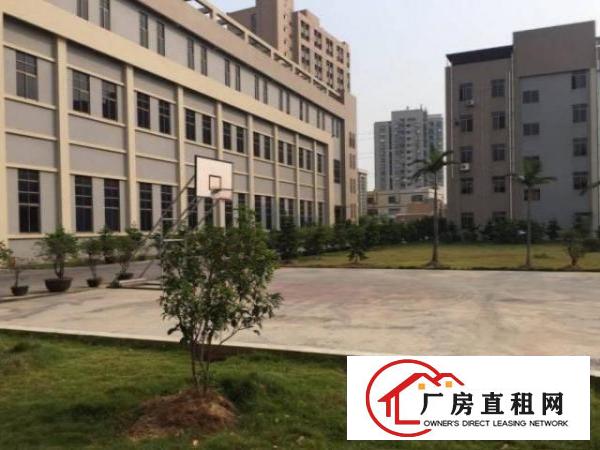  谢坑标准厂房三楼890平方出租，形象好有电梯