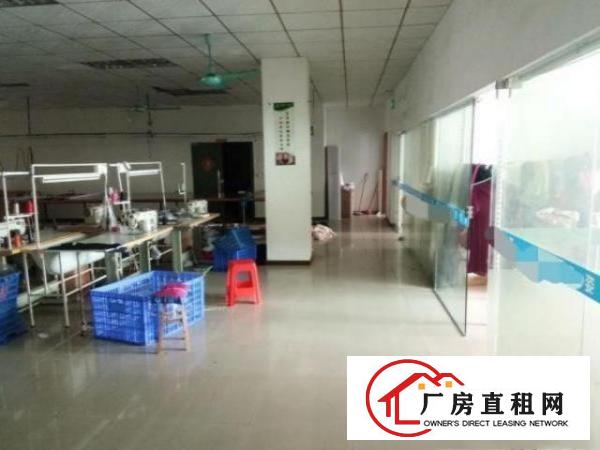  三星标准厂房一楼360平，采光好，无公摊