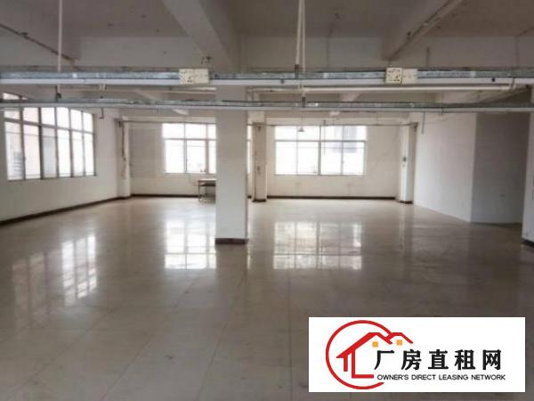  三星标准厂房一楼360平，采光好，无公摊