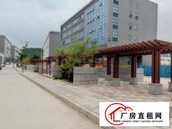  清华大学合作的产业园独栋出租免费办营业执照