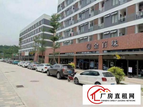  清华大学合作的产业园独栋出租免费办营业执照