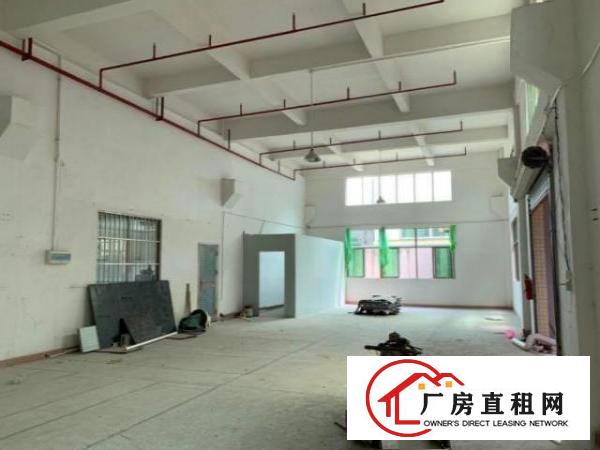  上元新出楼上带装修990平厂房出租，带消防喷淋，可办环评