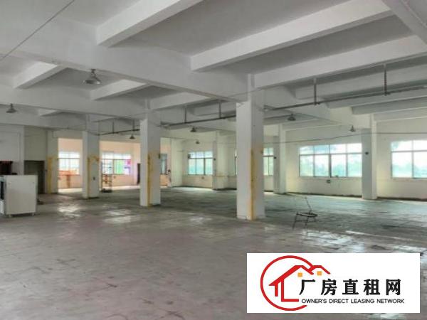  上元新出楼上带装修990平厂房出租，带消防喷淋，可办环评