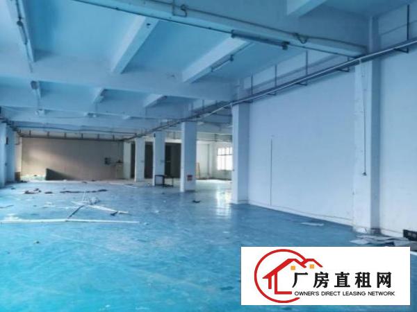  清溪荔横村标准一楼1600平米，带精装修办公室厂房出租