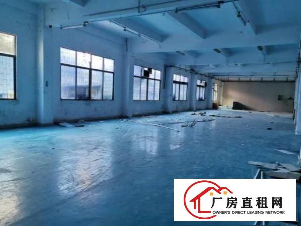  清溪荔横村标准一楼1600平米，带精装修办公室厂房出租